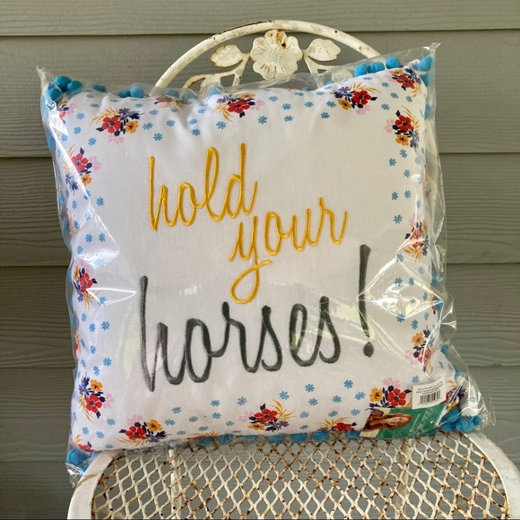 NWT The Pioneer Woman Throw Pillow 18 x 18 - Picture 9 of 11